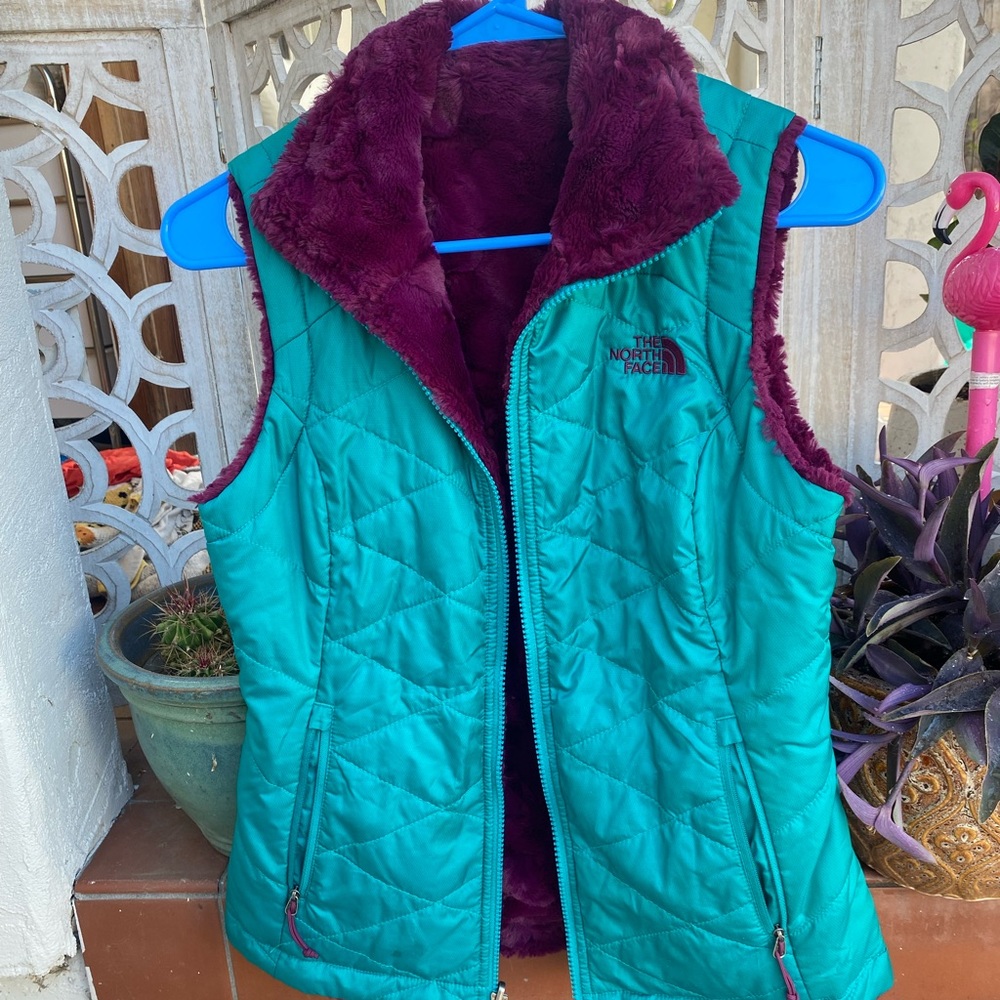 Reversible teal/purple The North Face fuzzy vest